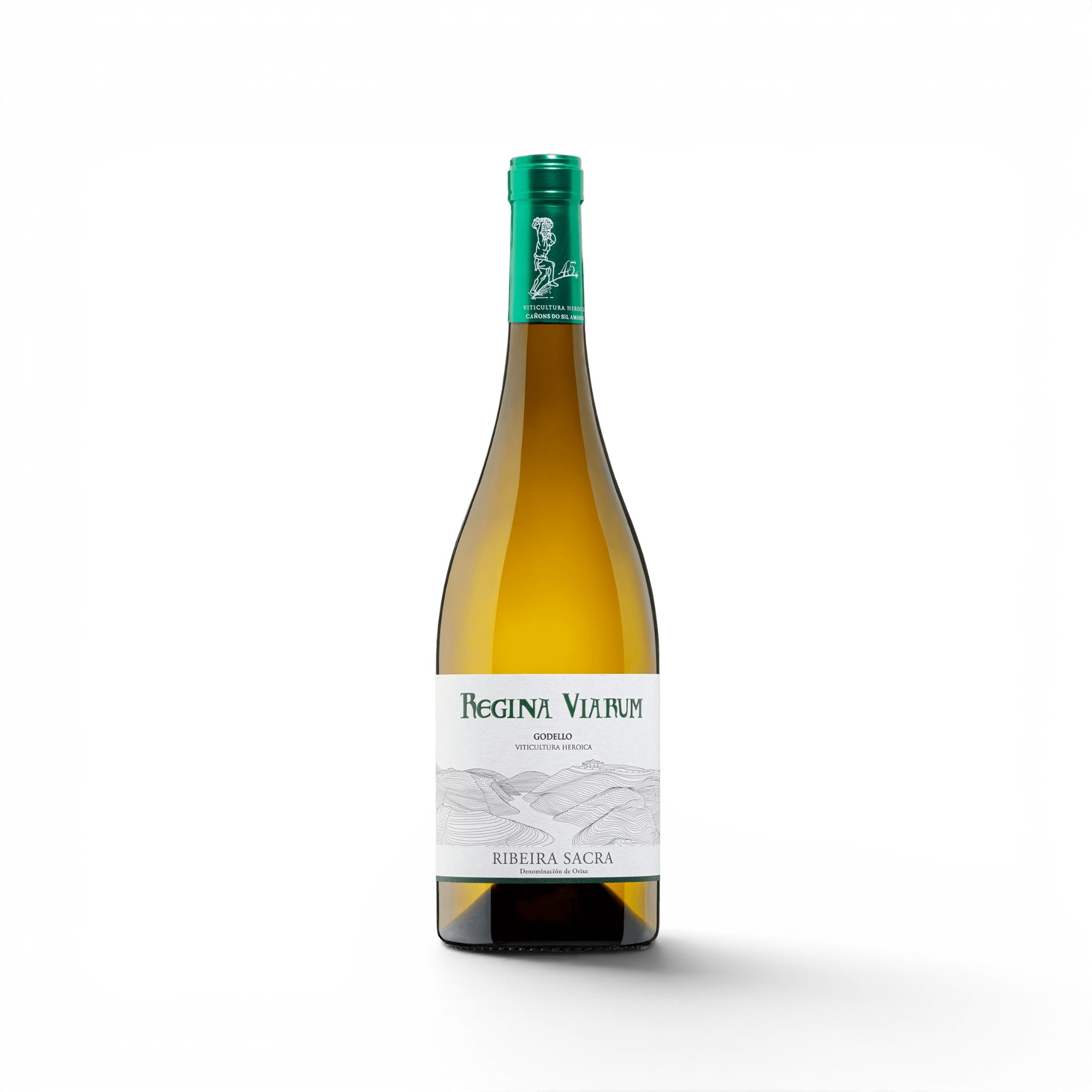 Regina Viarum Blanco — Vinos Blancos — La Compania Gourmet